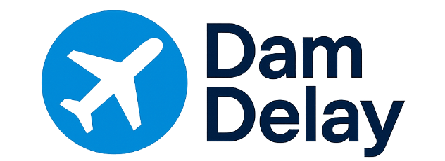 DamDelay Logo